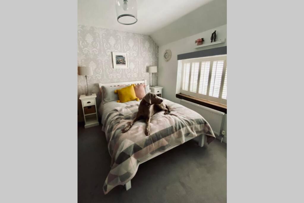 Angel Cottage, Boxgrove, Chichester - Relax And Unwind מראה חיצוני תמונה